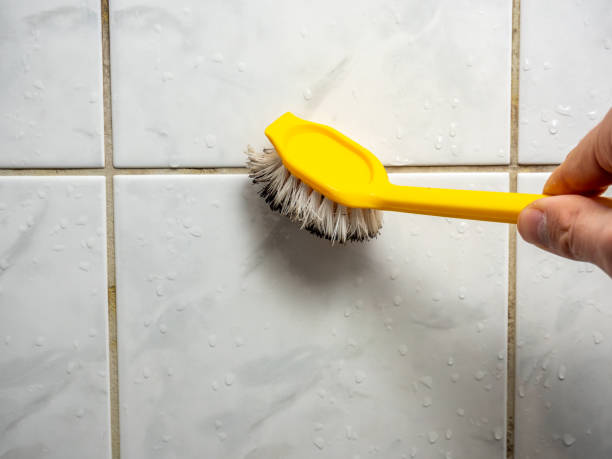 Professional Mold Remediation in Point Pleasant Beach, NJ